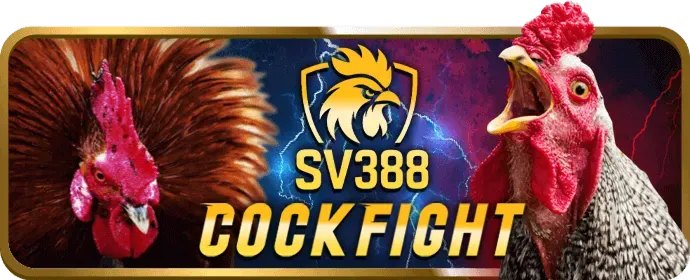 Các game thủ đang thi đấu esports chuyên nghiệp
